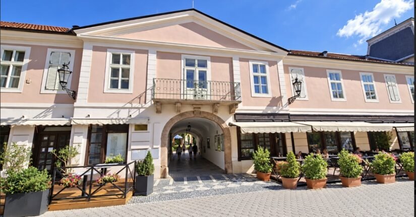Zichy7