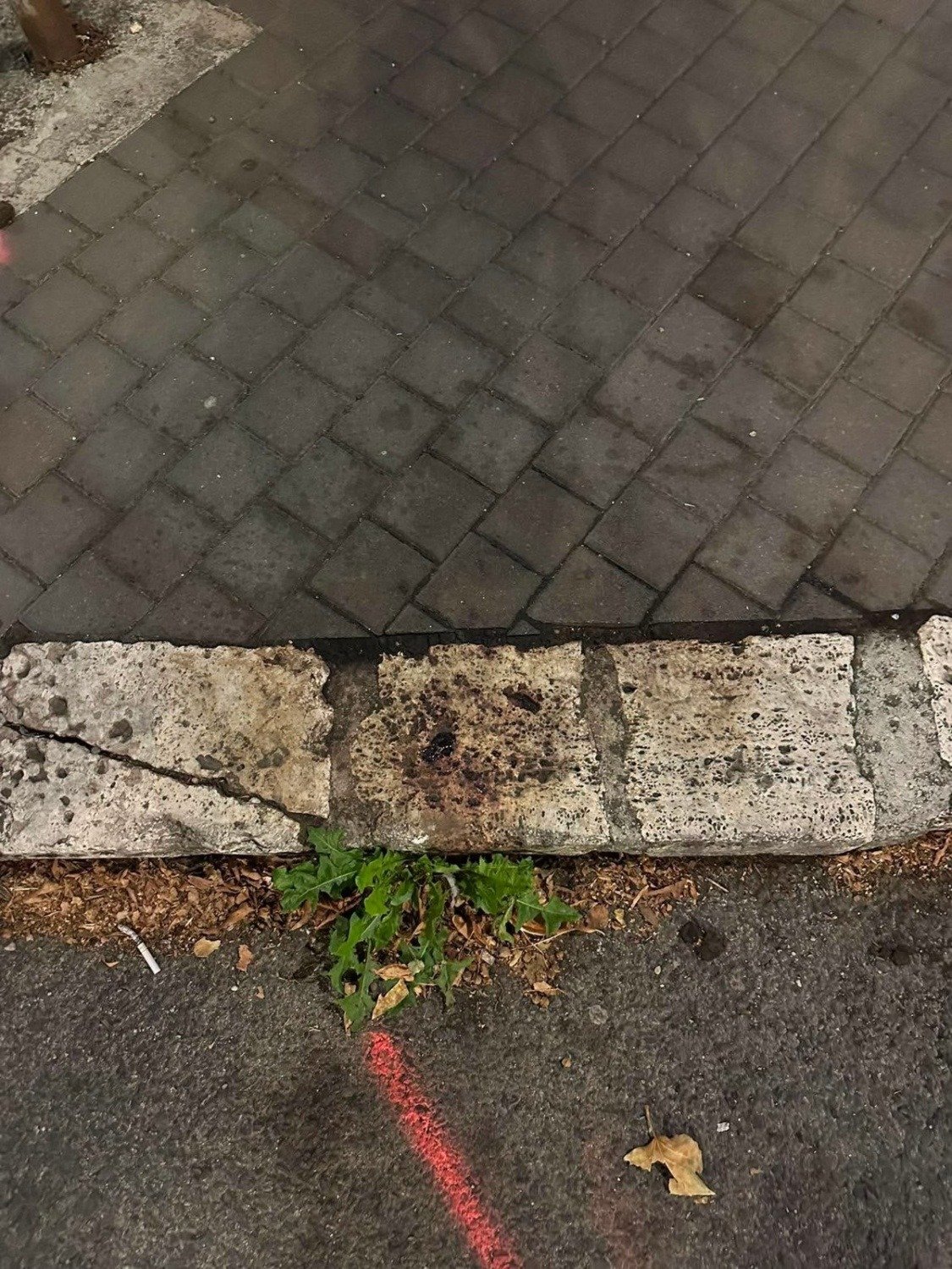 Két véres támadás történt a közelmúltban Komárom központjában 6 e212d1c1342a9b46b66a854b03ec3dcd6bf8c180b8921aa3ccacb9860e30dbb1