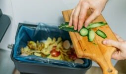 composting food scraps from the kitchen 2026 09 22 01 17 29 utc