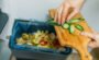 composting food scraps from the kitchen 2026 09 22 01 17 29 utc