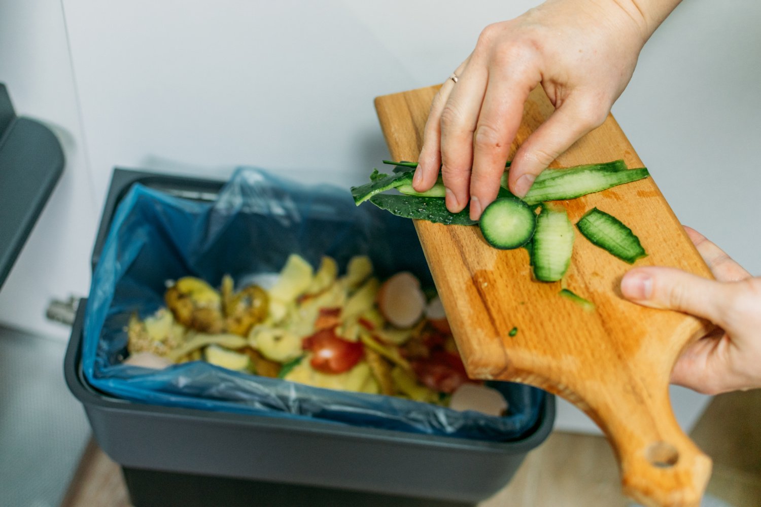 composting food scraps from the kitchen 2026 09 22 01 17 29 utc